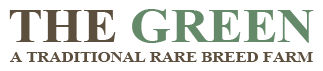 The Green Logo